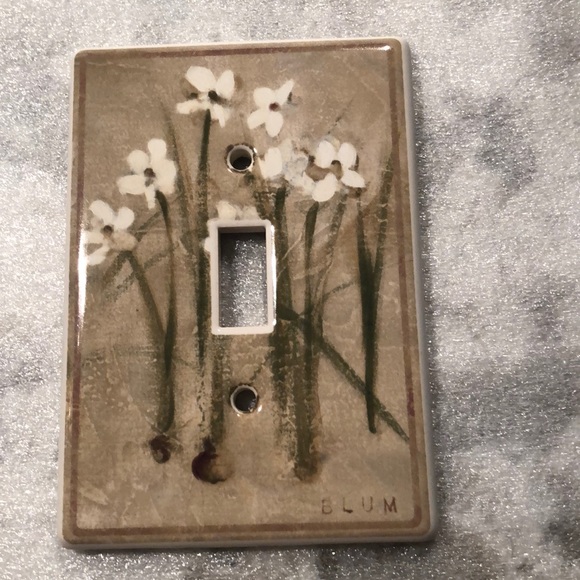 Ceramic Switchplate Cover - Picture 1 of 4